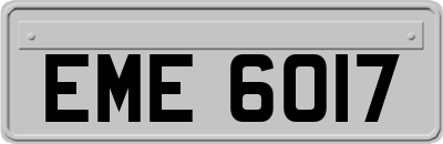EME6017