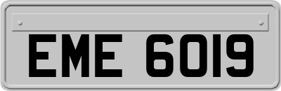 EME6019