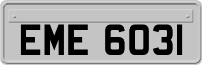 EME6031