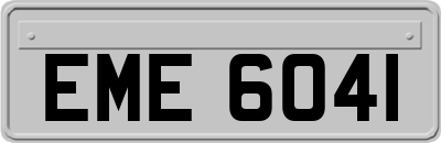 EME6041