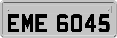 EME6045