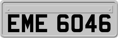 EME6046