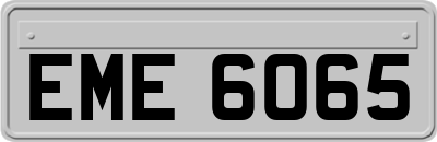 EME6065