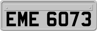 EME6073