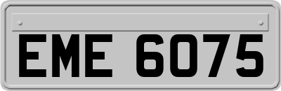 EME6075