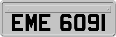 EME6091
