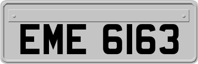 EME6163