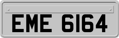 EME6164