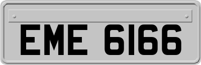 EME6166