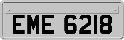 EME6218