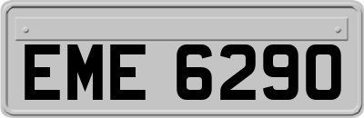 EME6290