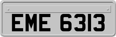 EME6313