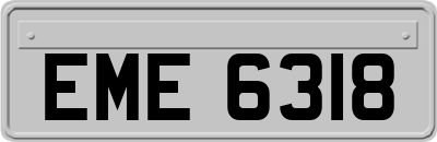 EME6318