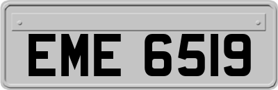 EME6519