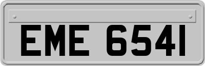 EME6541