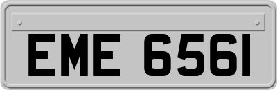 EME6561