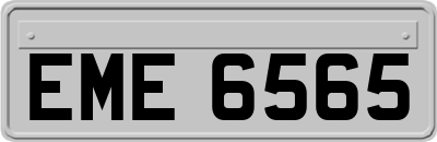 EME6565