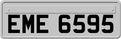 EME6595