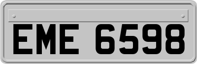 EME6598