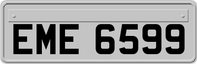 EME6599