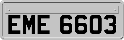 EME6603