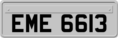 EME6613