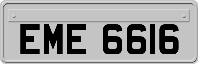 EME6616
