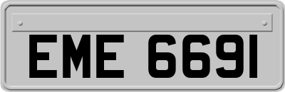 EME6691