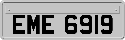 EME6919