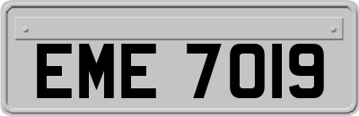 EME7019