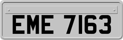 EME7163