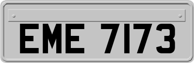 EME7173