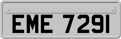 EME7291