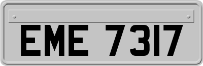 EME7317