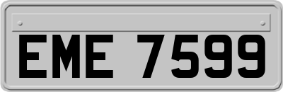 EME7599