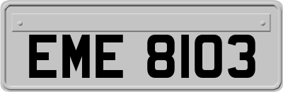 EME8103