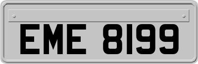 EME8199