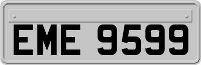 EME9599