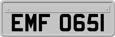 EMF0651