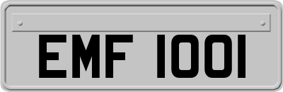 EMF1001