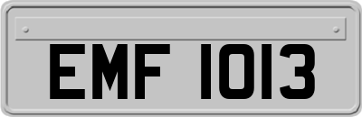 EMF1013