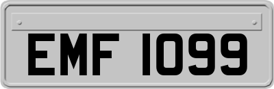 EMF1099