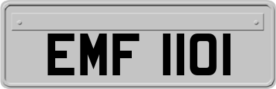 EMF1101