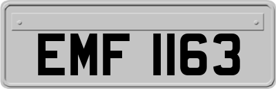 EMF1163