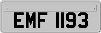 EMF1193