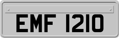 EMF1210