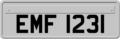 EMF1231