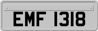 EMF1318