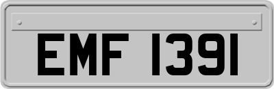 EMF1391