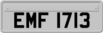 EMF1713